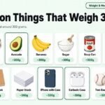 15 Common Things That Weigh 300 Grams (Everyday Examples) 2026