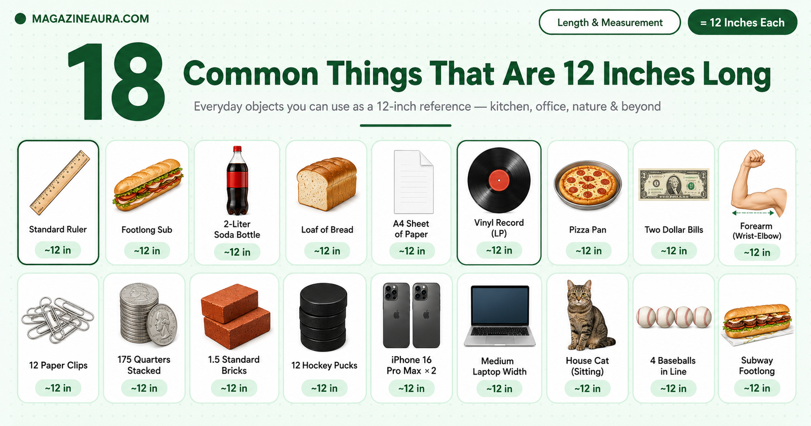 18 Common Things That Are 12 Inches Long (Real-Life Size Guide)