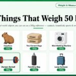 How Heavy Is 50kg? 10 Things That Match It Perfectly in 2026