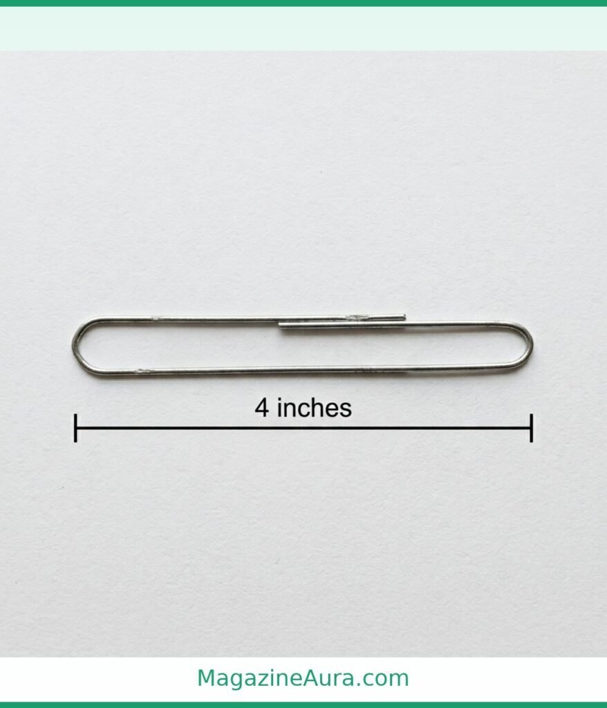 Jumbo Paperclip (Straightened) 4 inches