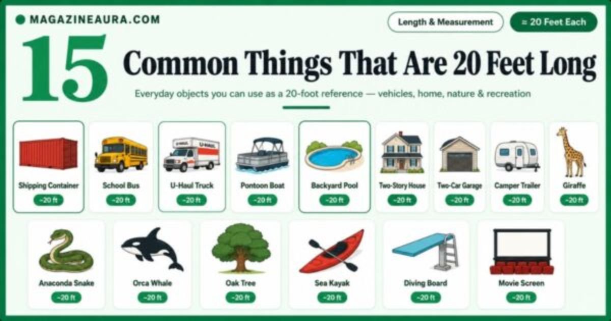 15 Common Things That Are 20 Feet Long - 2026