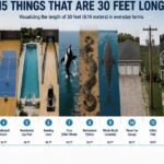 15 Common Things That Are 30 Feet Long - 2026 (With Real-Life Comparisons)