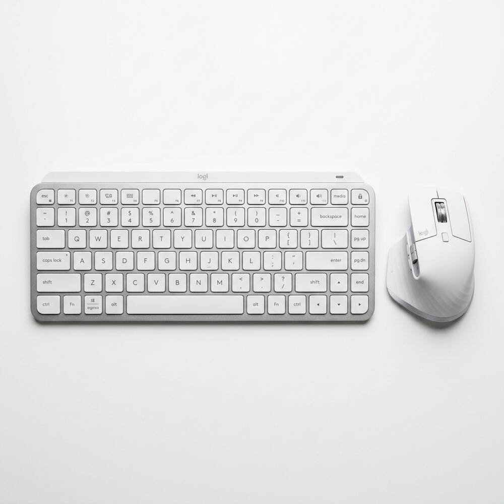 A Wireless Mouse and Keyboard Combo (10 oz)