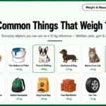 How Much Is 10kg 15 Common Things That Weigh 10 Kilograms (2026)