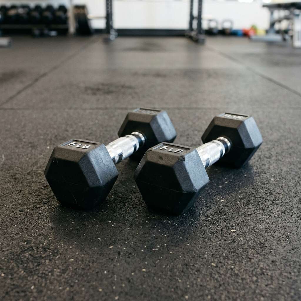 Two 5 lb Dumbbells (10 lb)