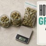 Understanding Zips: How Many Grams Are in a Zip? (A Complete Weed Measurement Guide)